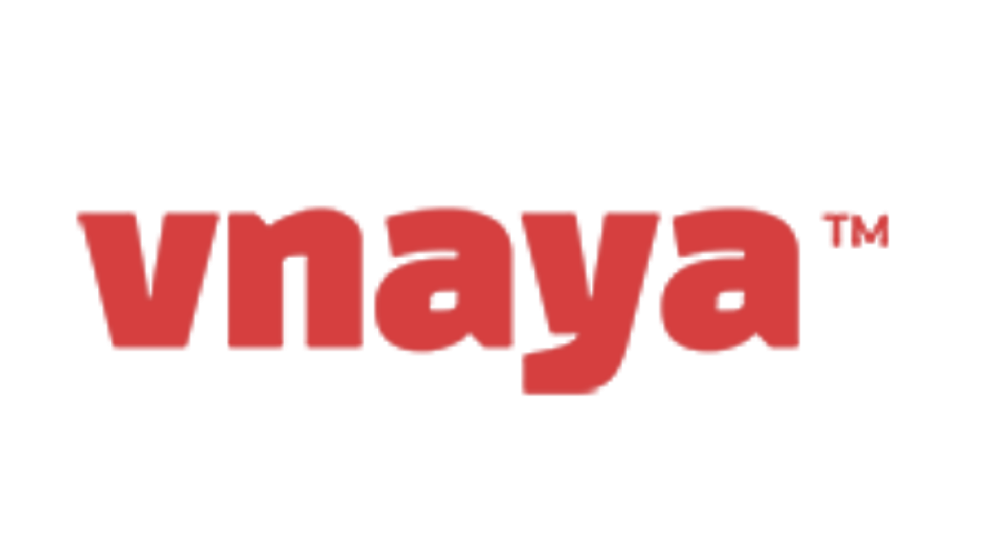 vnaya-logo